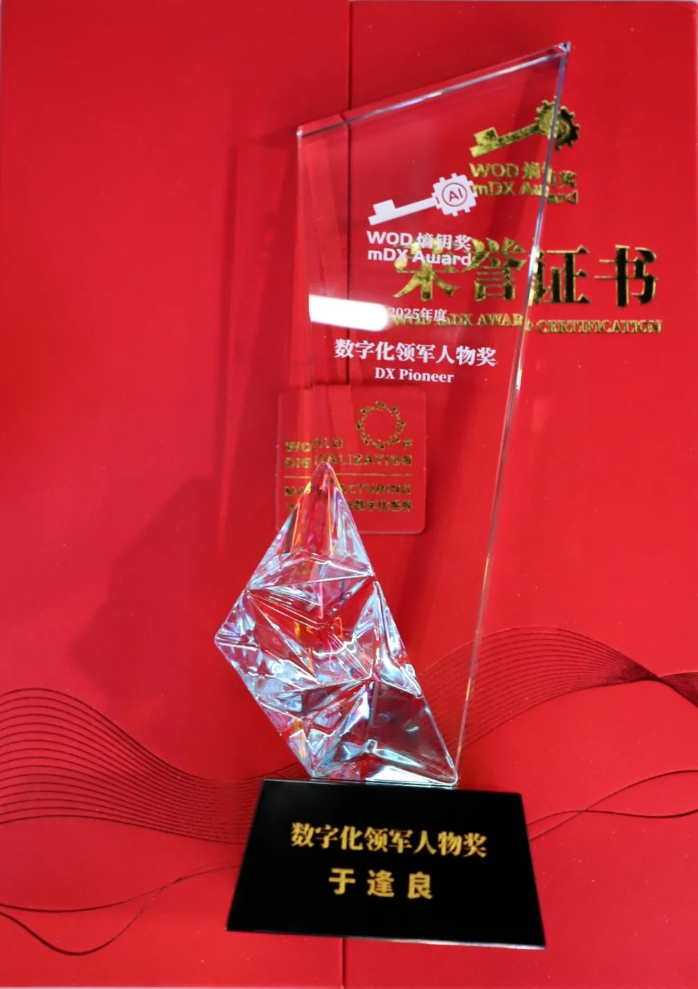 吉大正元出席2025WOD数博会 | 董事长于逢良荣获数字化领军人物奖